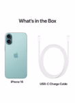 iPhone 16 Plus 512GB Teal